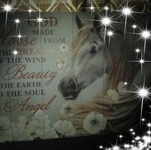 Meet your Posher, Brenda